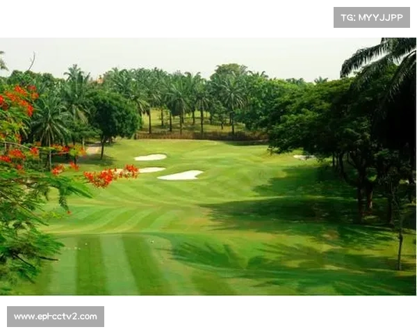 RSM精英赛球场指南：海滨与种植园球场挑战分析